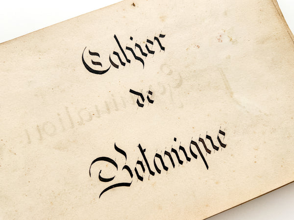 Cahier de Botanique [album + notebook of specimens, 1901]