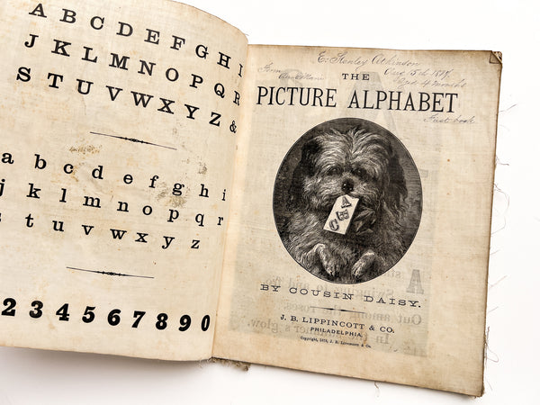 The Indestructible Picture Alphabet