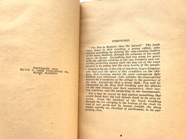 The Lash: A Thrilling Story of Law Enforcement