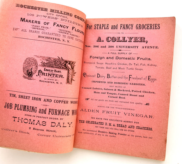 Scientific and Reliable Coloring and Cleansing Book.