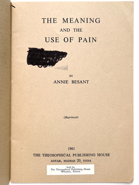 The Meaning and the Use of Pain