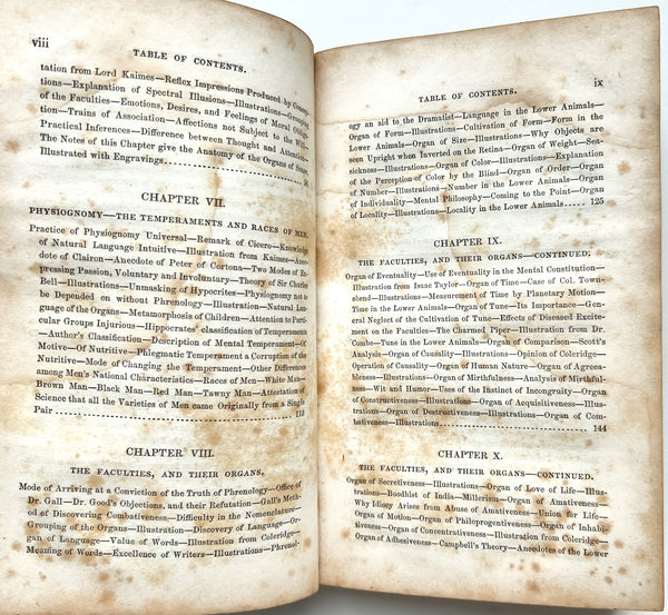 Natural History of Man: Showing his three aspects of plant, beast, and angel