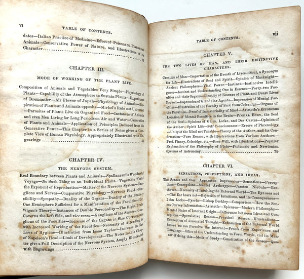 Natural History of Man: Showing his three aspects of plant, beast, and angel