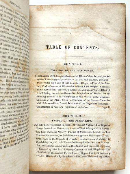 Natural History of Man: Showing his three aspects of plant, beast, and angel