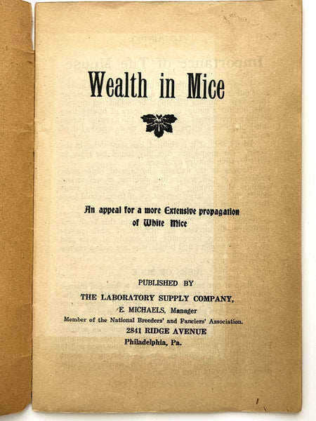 Wealth in Mice: An appeal for a more extensive propagation of white mice