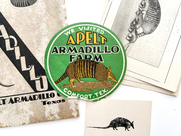 The Armadillo / The Basket Beautiful [trade catalog]