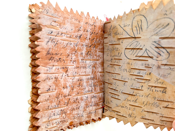 A young woman’s illustrated letter to her sister in a birch bark booklet