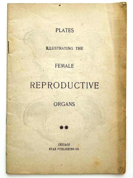 Plates Illustrating the Female Reproductive Organs