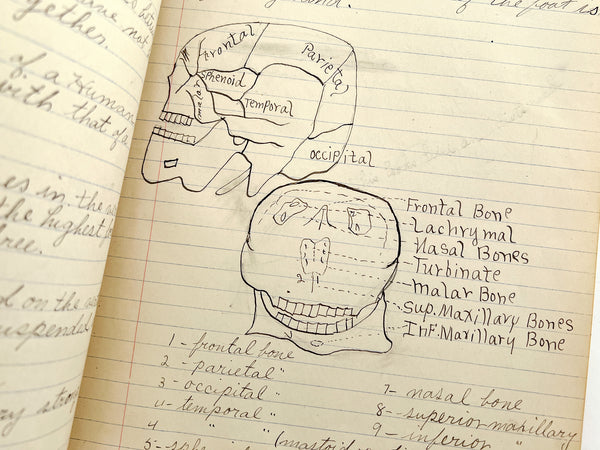 Two illustrated student manuscript notebooks for courses in Physiology and Zoology by a young woman in Oregon, 1910