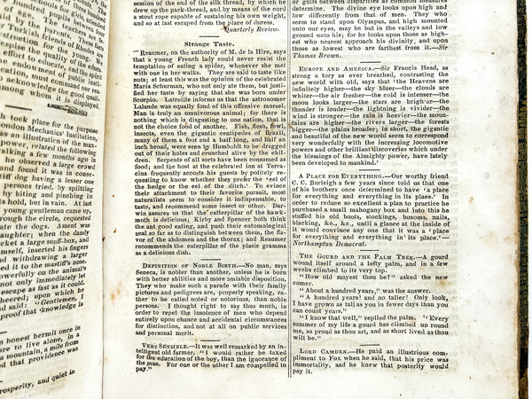 District School Journal of the State of New York, 1847-1848 (14 issues)