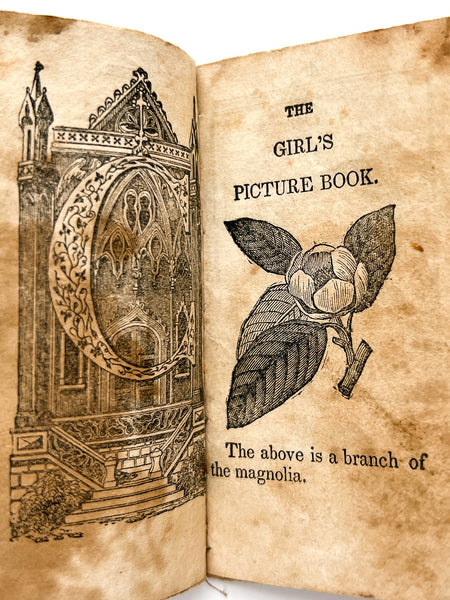 The Girl's Picture Book