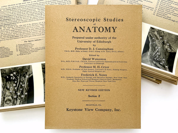 Stereoscopic Studies of Anatomy, Prepared under authority of the University of Edinburgh. Section 2: Central Nervous System