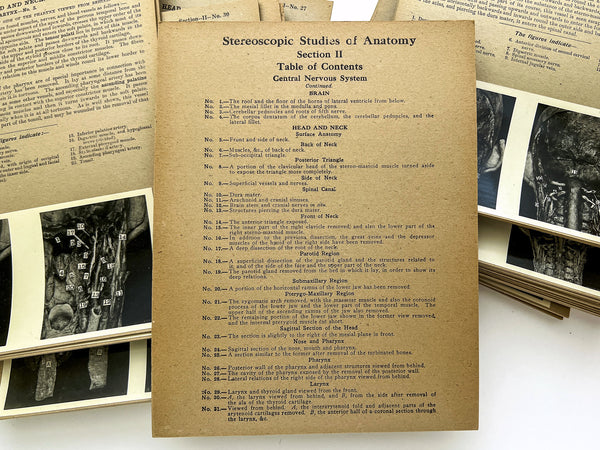 Stereoscopic Studies of Anatomy, Prepared under authority of the University of Edinburgh. Section 2: Central Nervous System