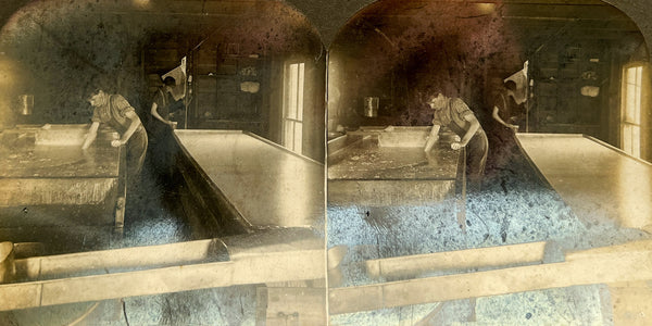 Two stereoview cards of cheese making in East Aurora, NY (6667 + 6668)