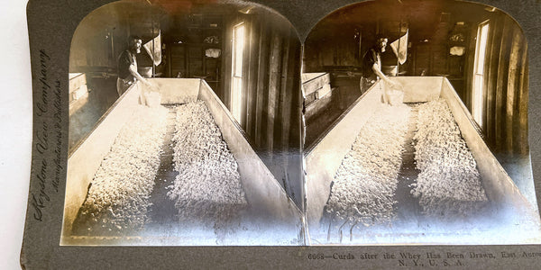 Two stereoview cards of cheese making in East Aurora, NY (6667 + 6668)