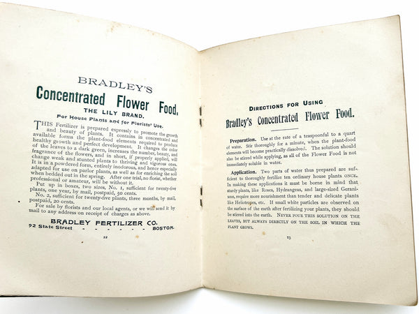 Flowers: Practical Hints on the Care of House and Outdoor Plants