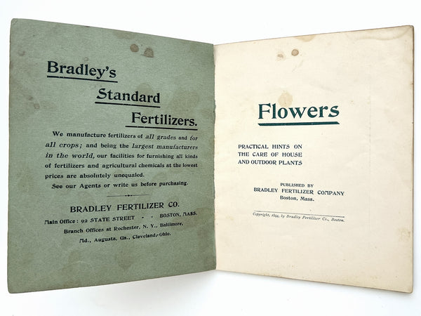 Flowers: Practical Hints on the Care of House and Outdoor Plants