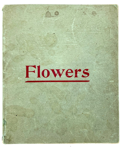 Flowers: Practical Hints on the Care of House and Outdoor Plants