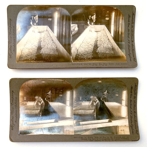 Two stereoview cards of cheese making in East Aurora, NY (6667 + 6668)