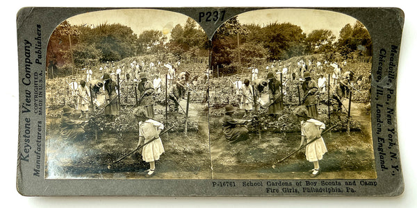 School Gardens of Boy Scouts and Camp Fire Girls, Philadelphia, Pa. (P237-16761)