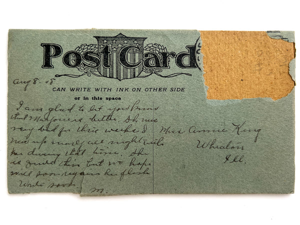 1908 novelty postcard with botanical specimen