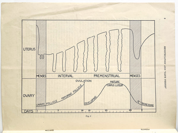 Ovulation, Menstruation and Finding the "Safe Period" (offprint)