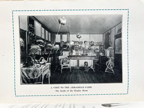 The Armadillo / The Basket Beautiful [trade catalog]