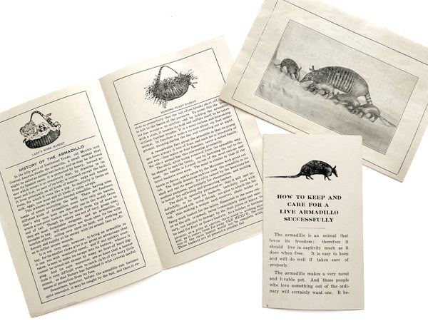 The Armadillo / The Basket Beautiful [trade catalog]