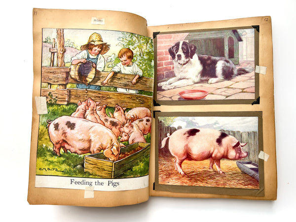 Visual Aids: A unit for the third grade. Helen Woerner, Education E 141.