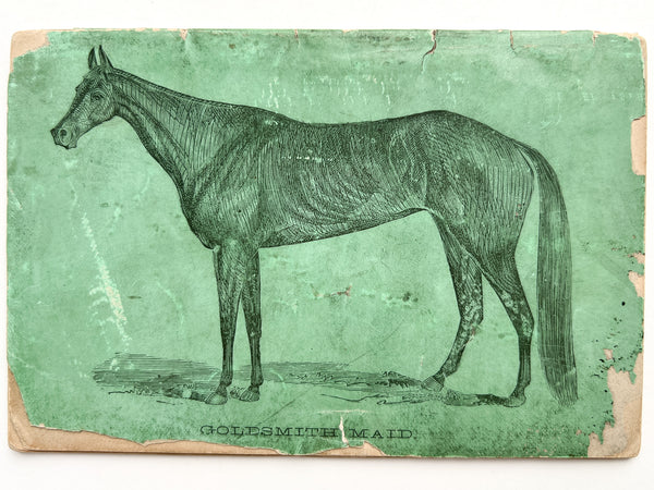 Whitney's Twelve Points on the Horse Scientifically Explained...