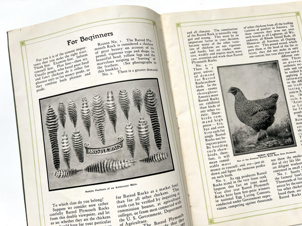 W. D. Holterman, Fancier [Aristocrat Chickens catalog]