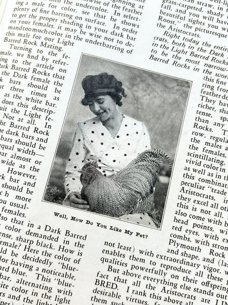 W. D. Holterman, Fancier [Aristocrat Chickens catalog]