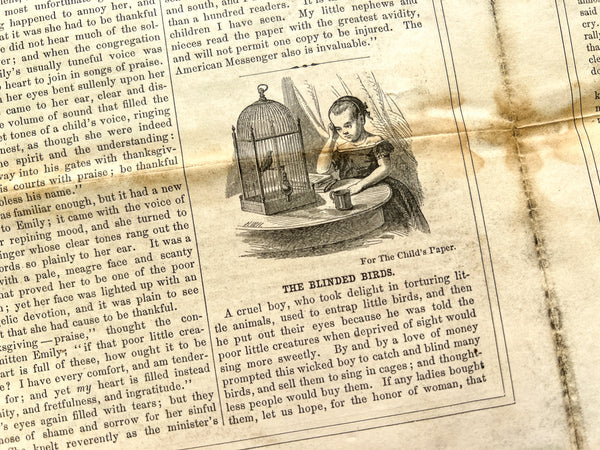 The Child's Paper Vol. 9, No. 11, November 1860