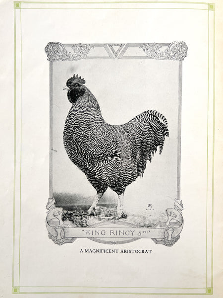 W. D. Holterman, Fancier [Aristocrat Chickens catalog]