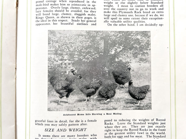 W. D. Holterman, Fancier [Aristocrat Chickens catalog]