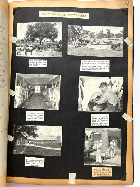 Visual Aids: A unit for the third grade. Helen Woerner, Education E 141.