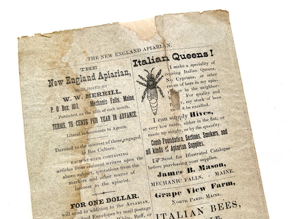 The New England Apiarian: Devoted Exclusively to Bee Culture. Volume 1, No. 1 (January, 1883)
