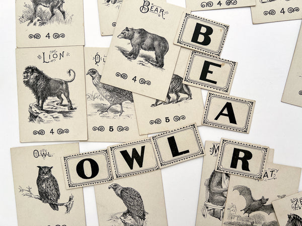 The Instructive Game of Magic Spelling with Bewitched Letters
