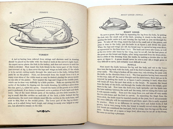 The American Cook Book: A Selection of Choice Recipes... and Practical Housekeeping