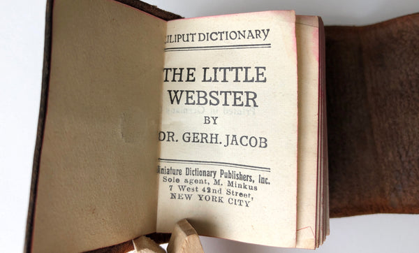 The Little Webster: 18,000 Words Liliput Dictionary