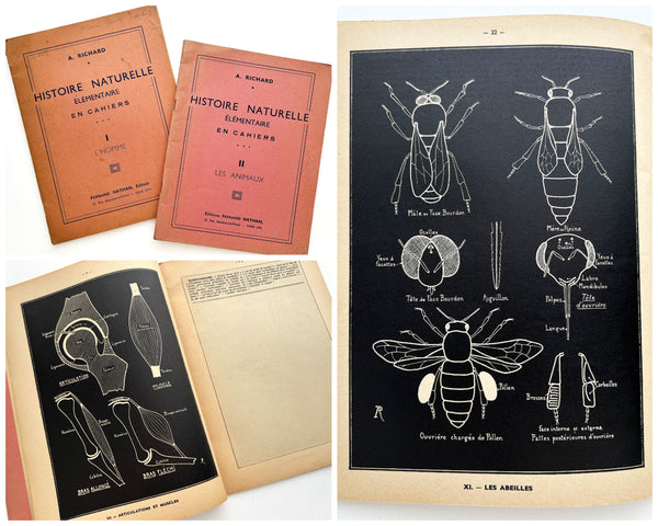 Histoire Naturelle Elementaire en Cahiers I. L'Homme & II. Les Animaux (2 vols.)
