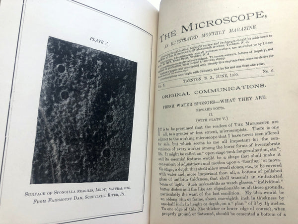Fresh Water Sponges: a Monograph [bound with] 5 offprints from “The Microscope”