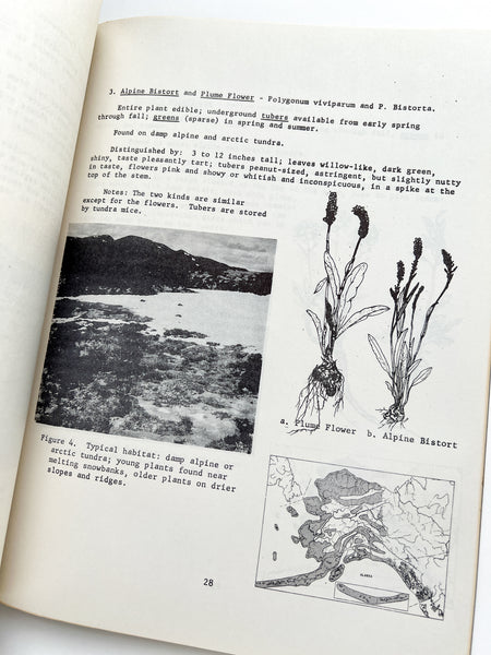 Emergency Food Value of Alaskan Wild Plants. Technical Note AAL-TN-57-16, July 1957