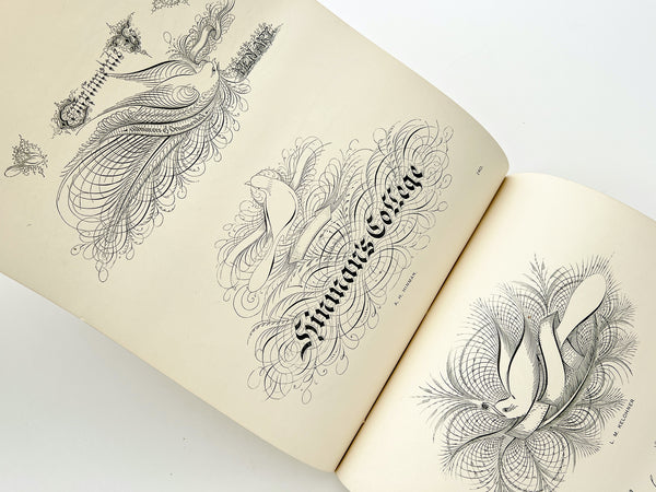 Ames' Book of Flourishes. 125 Designs by Leading American Penmen
