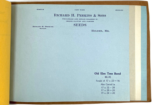 Old Elm Tree Bond (paper sample book)
