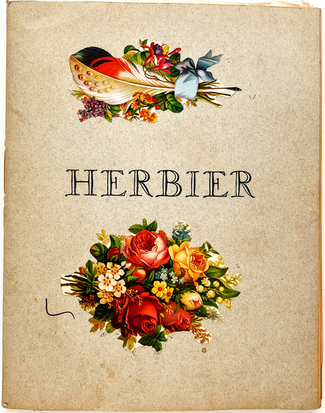 Herbier / 1909 Herbarium with Pressed Flowers and Seaweed Specimens